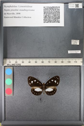 Media type: image;   Entomology 138465